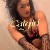 Diamante negro  - Transsexual in Geneva